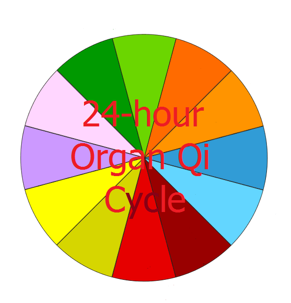 24-hour Qi Organ Cycle